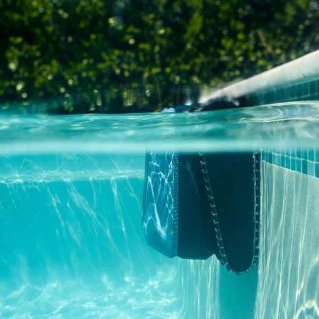 Dolphin EON 100 - Imagen 4