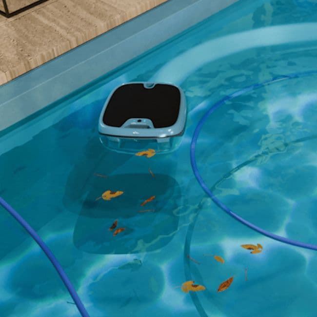 Dolphin Skimmi™ 300 - Imagen 2