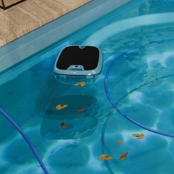 Dolphin Skimmi™ 300 - Imagen 2