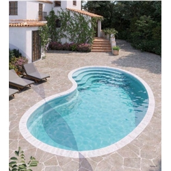 PISCINA CON FORMA DE RIÑÓN HYDRUS 7 - Imagen 1
