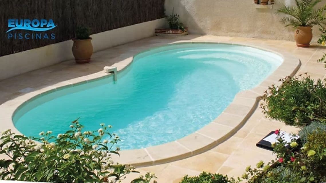 PISCINA CON FORMA DE RIÑÓN HYDRUS 7 - Imagen 2