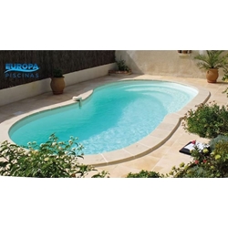 PISCINA CON FORMA DE RIÑÓN HYDRUS 7 - Imagen 2